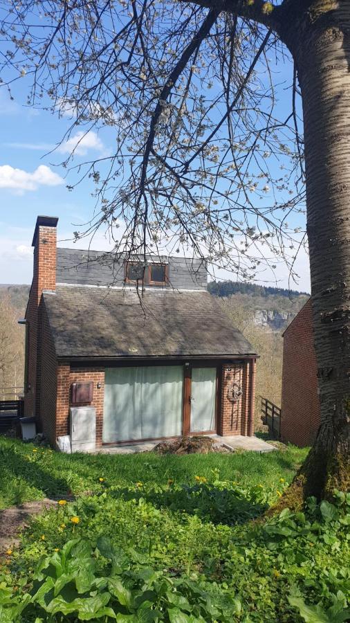La Cabane D'Helie - Cottage En Pleine Foret - Domaine Du Bonsoy Hastiere-par-dela Kültér fotó